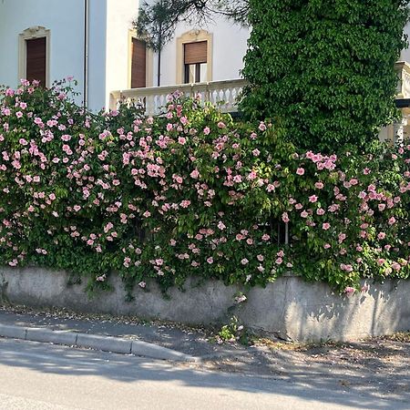 Il Bozzolo Eco Boutique Apartments Valeggio sul Mincio Kültér fotó
