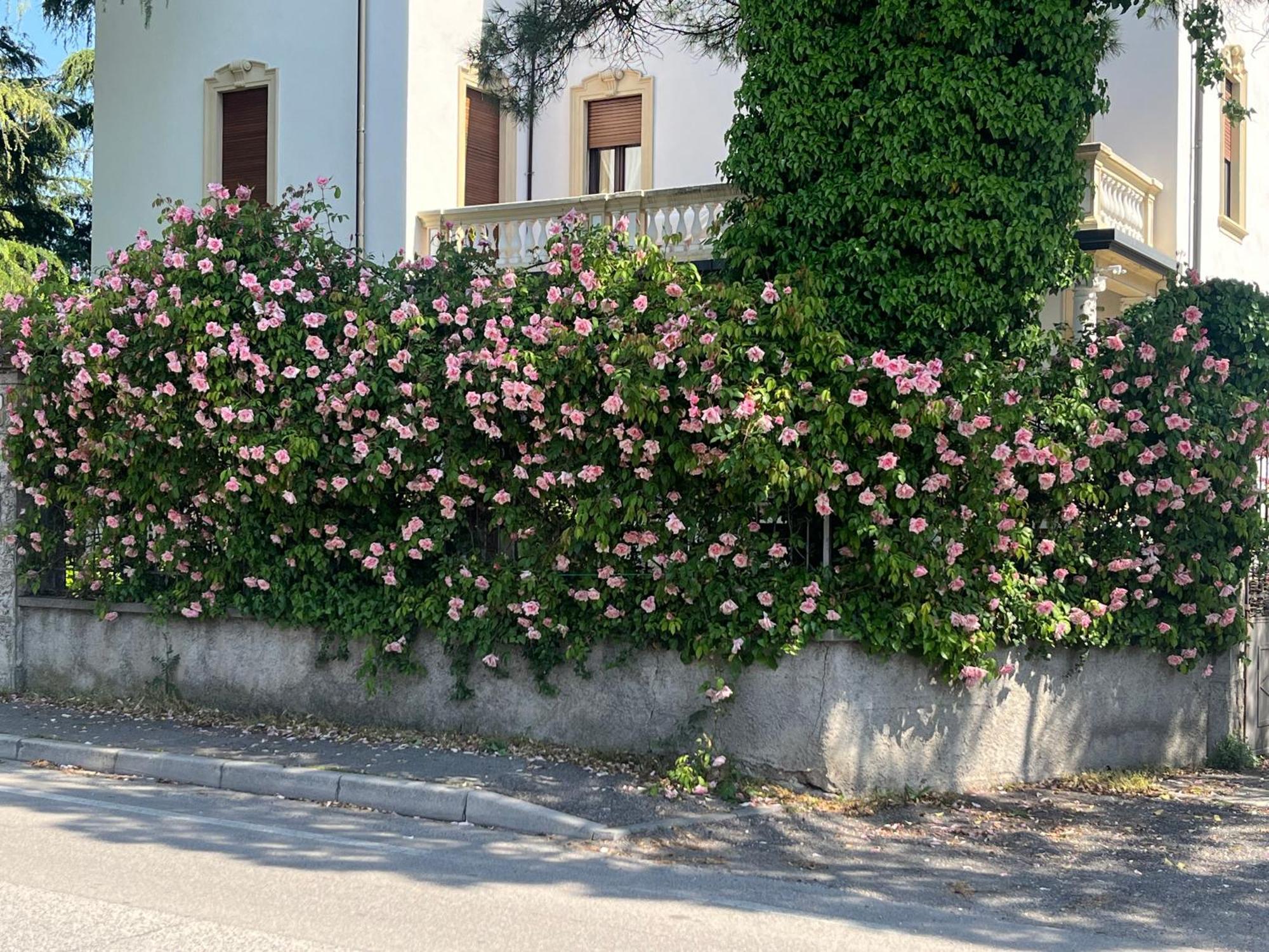 Il Bozzolo Eco Boutique Apartments Valeggio sul Mincio Kültér fotó